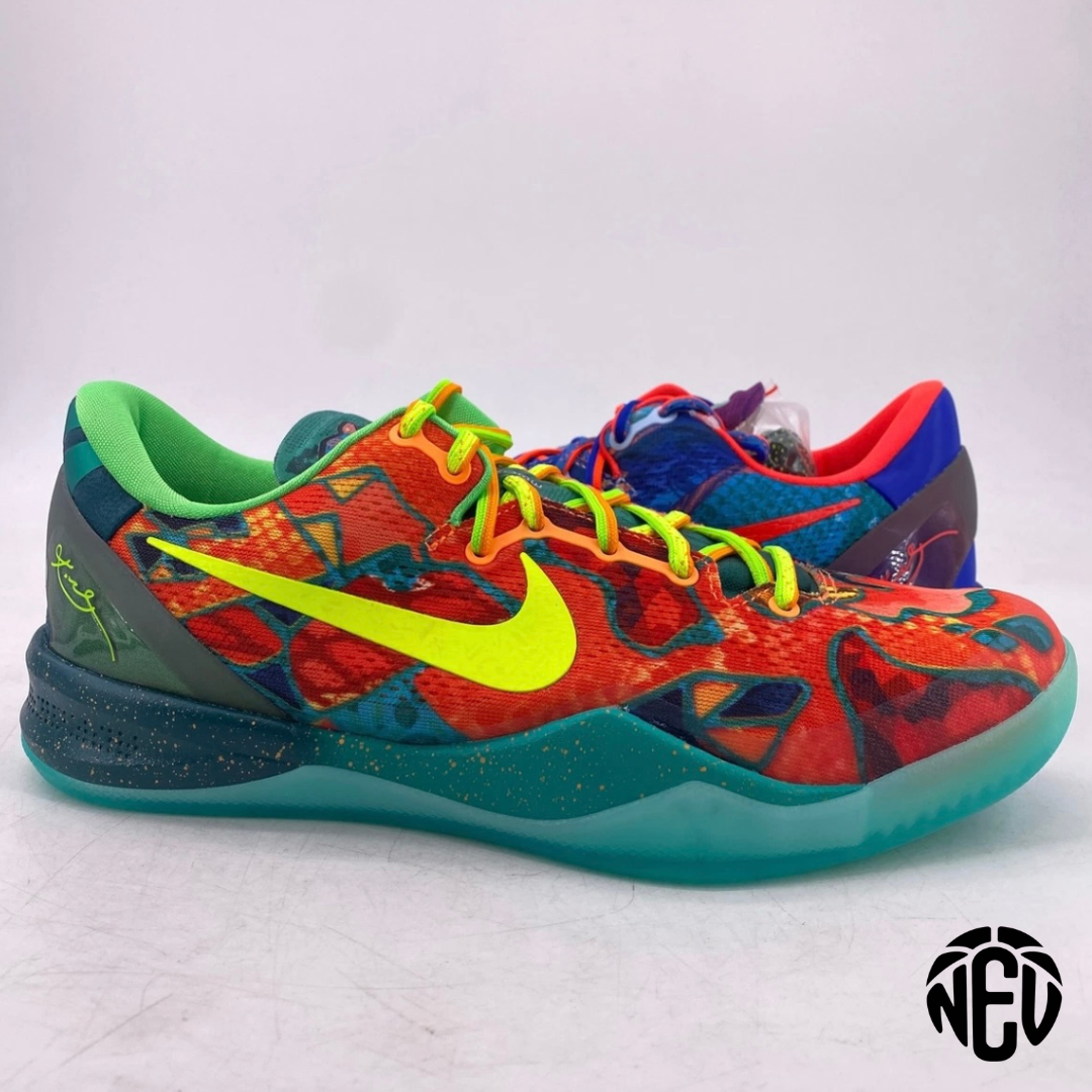 Kobe 8 Protro What The